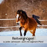 Holiday home Tinyhousebeidresden Mit Fasssauna Unser Groesstes Winziges Haeuschen Fuer Bis Zu 7 Personen, Kaminofen, Grosse Terrasse - Naehe Saechsische Schweiz - Von Juni - September Mindestmietzeit 1 Woche Sa-sa