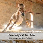 Tinyhousebeidresden Mit Fasssauna Unser Groesstes Winziges Haeuschen Fuer Bis Zu 7 Personen, Kaminofen, Grosse Terrasse - Naehe Saechsische Schweiz - Von Juni - September Mindestmietzeit 1 Woche Sa-sa Holiday home Lauterbach (Rugen)