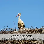 Tinyhousebeidresden Mit Fasssauna Unser Groesstes Winziges Haeuschen Fuer Bis Zu 7 Personen, Kaminofen, Grosse Terrasse - Naehe Saechsische Schweiz - Von Juni - September Mindestmietzeit 1 Woche Sa-sa Holiday home *
