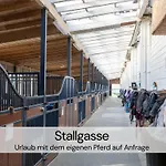 Tinyhousebeidresden Mit Fasssauna Unser Groesstes Winziges Haeuschen Fuer Bis Zu 7 Personen, Kaminofen, Grosse Terrasse - Naehe Saechsische Schweiz - Von Juni - September Mindestmietzeit 1 Woche Sa-sa Holiday home Lauterbach (Rugen)
