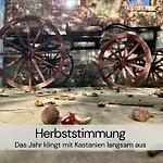 Tinyhousebeidresden Mit Fasssauna Unser Groesstes Winziges Haeuschen Fuer Bis Zu 7 Personen, Kaminofen, Grosse Terrasse - Naehe Saechsische Schweiz - Von Juni - September Mindestmietzeit 1 Woche Sa-sa Holiday home