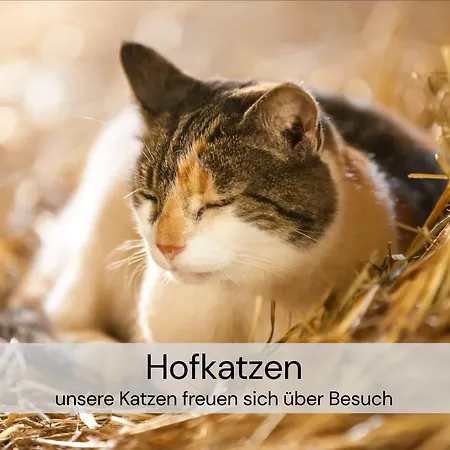 Gemuetliches Tiny House Zwischen Zwei Naturteichen - Kamin, Terasse & Natur Pur - Juli - August Mindestmietzeit 1 Woche Sa-Sa Hébergement de vacances *