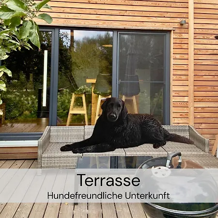 Tinyhousebeidresden Mit Fasssauna Unser Groesstes Winziges Haeuschen Fuer Bis Zu 7 Personen, Kaminofen, Grosse Terrasse - Naehe Saechsische Schweiz - Von Juni - September Mindestmietzeit 1 Woche Sa-sa بيت للعطل لوترباخ