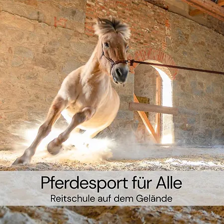 Gemuetliches Tiny House Zwischen Zwei Naturteichen - Kamin, Terrasse & Pur Holiday home Lauterbach