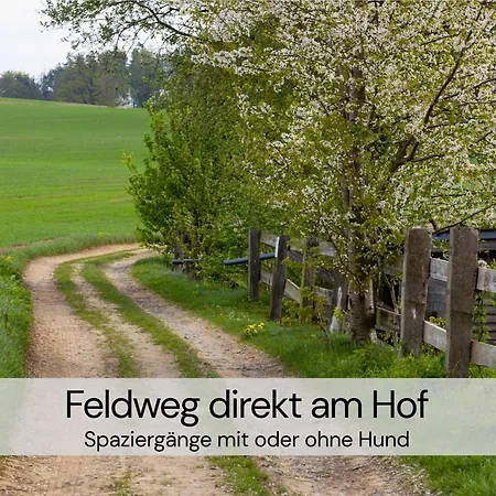 Gemuetliches Tiny House Zwischen Zwei Naturteichen - Kamin, Terasse & Natur Pur - Juli - August Mindestmietzeit 1 Woche Sa-Sa *