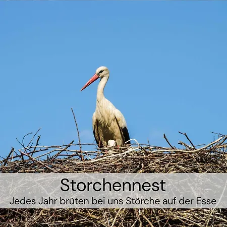 Gemuetliches Tiny House Zwischen Zwei Naturteichen - Kamin, Terasse & Natur Pur - Juli - August Mindestmietzeit 1 Woche Sa-Sa Hébergement de vacances *