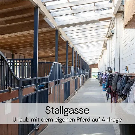 Gemuetliches Tiny House Zwischen Zwei Naturteichen - Kamin, Terasse & Natur Pur - Juli - August Mindestmietzeit 1 Woche Sa-Sa Hébergement de vacances Lauterbach
