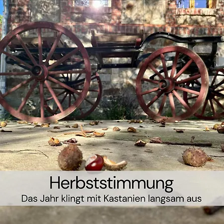 Gemuetliches Tiny House Zwischen Zwei Naturteichen - Kamin, Terasse & Natur Pur - Juli - August Mindestmietzeit 1 Woche Sa-Sa Hébergement de vacances