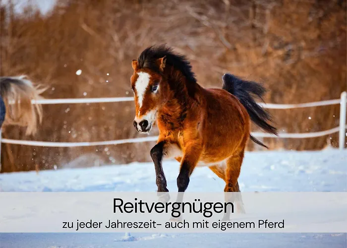 Ferienhaus Tinyhousebeidresden Unser Größtes Winziges Häuschen Für Bis Zu 7 Personen, Kaminofen, Große Terrasse - Nähe Sächsische Schweiz - Von Juni - September Mindestmietzeit 1 Woche Sa-sa