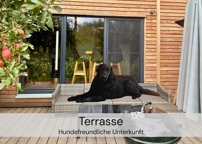 Tinyhousebeidresden Unser Größtes Winziges Häuschen Für Bis Zu 7 Personen, Kaminofen, Große Terrasse - Nähe Sächsische Schweiz - Von Juni - September Mindestmietzeit 1 Woche Sa-sa Ferienhaus Lauterbach (Rugen)