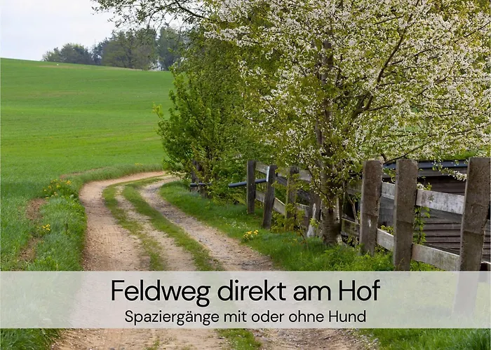 Tinyhousebeidresden Mit Fasssauna Unser Groesstes Winziges Haeuschen Fuer Bis Zu 7 Personen, Kaminofen, Grosse Terrasse - Naehe Saechsische Schweiz - Von Juni - September Mindestmietzeit 1 Woche Sa-sa *