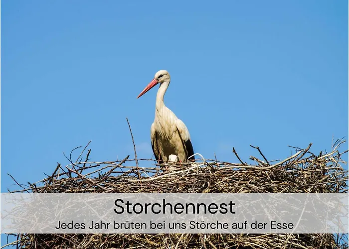 Tinyhousebeidresden Unser Größtes Winziges Häuschen Für Bis Zu 7 Personen, Kaminofen, Große Terrasse - Nähe Sächsische Schweiz - Von Juni - September Mindestmietzeit 1 Woche Sa-sa Ferienhaus *