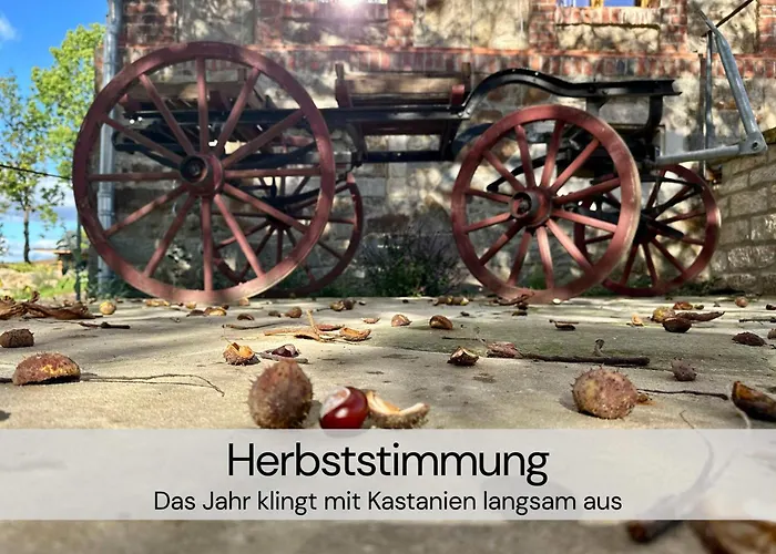 Tinyhousebeidresden Unser Größtes Winziges Häuschen Für Bis Zu 7 Personen, Kaminofen, Große Terrasse - Nähe Sächsische Schweiz - Von Juni - September Mindestmietzeit 1 Woche Sa-sa Ferienhaus