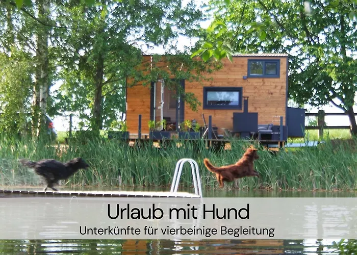 Tatil Evi Tinyhousebeidresden Mit Fasssauna Unser Groesstes Winziges Haeuschen Fuer Bis Zu 7 Personen, Kaminofen, Grosse Terrasse - Naehe Saechsische Schweiz - Von Juni - September Mindestmietzeit 1 Woche Sa-sa Großharthau