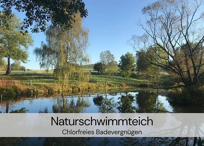 Tinyhousebeidresden Mit Fasssauna Unser Groesstes Winziges Haeuschen Fuer Bis Zu 7 Personen, Kaminofen, Grosse Terrasse - Naehe Saechsische Schweiz - Von Juni - September Mindestmietzeit 1 Woche Sa-sa بيت للعطل لوترباخ